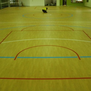 Indoor Multi Court Set Out And Line Marked